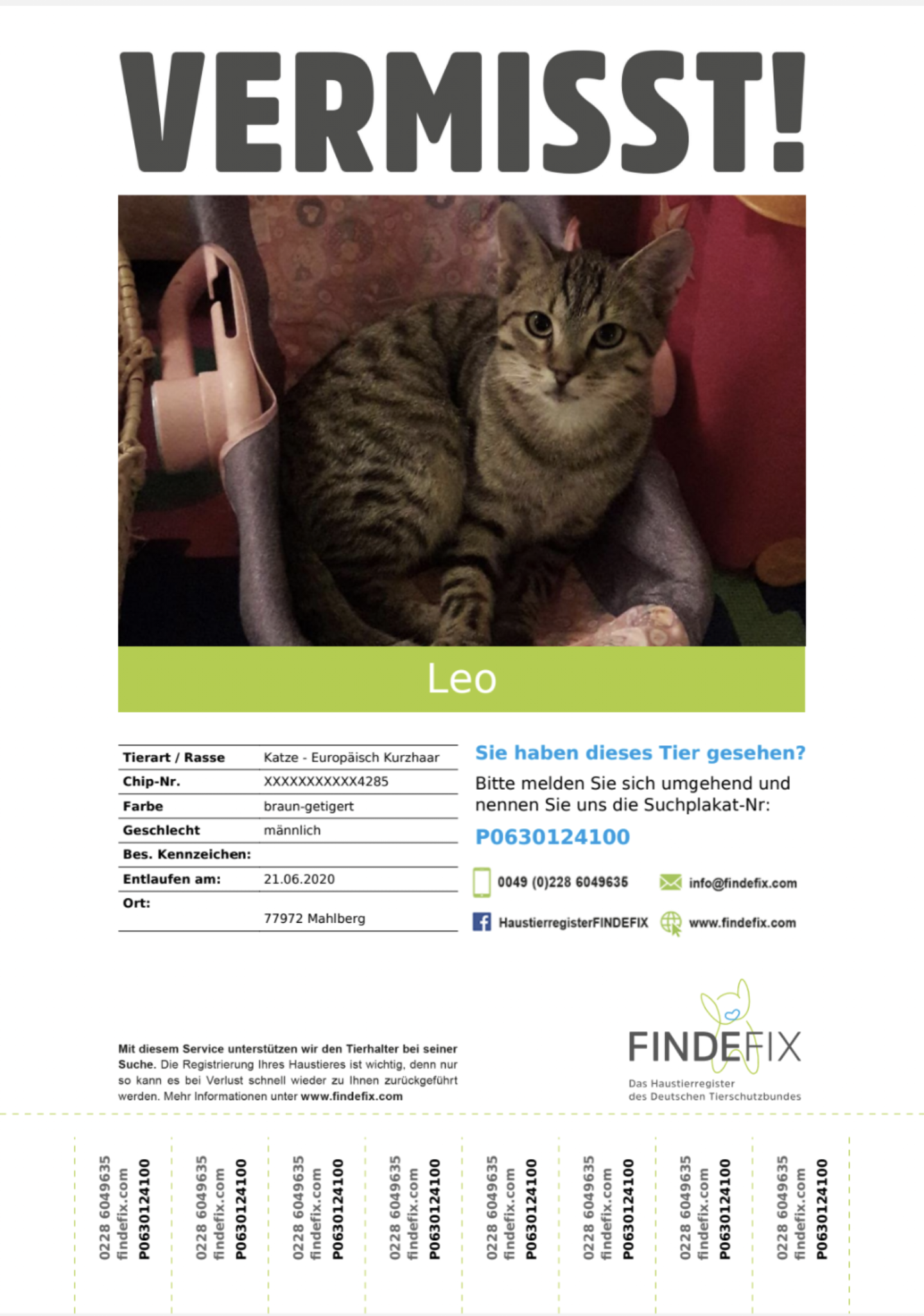 Leo wird vermisst Tierheim Lahr