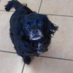 Mäuschen -  - Bild 3