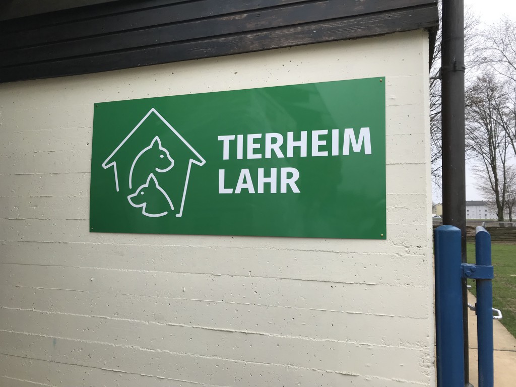 Hilfskraft in Voll- oder Teilzeit gesucht! (m/w/d)