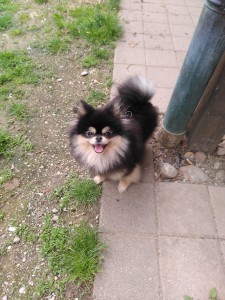 Fiona