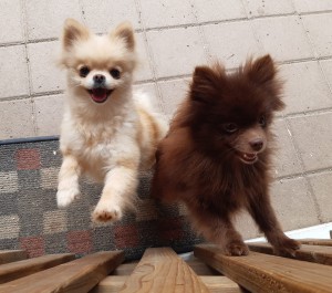 Gina und Pauline