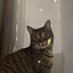 Luna2