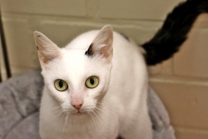 Liesl2