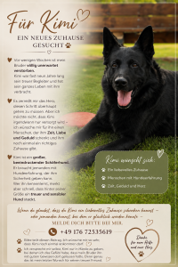 Privatvermittlung Hund Kimi