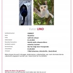 Lino