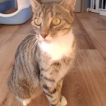 Lucy1