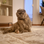 Nala